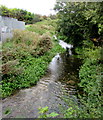 Upstream along Boverton Brook, Boverton