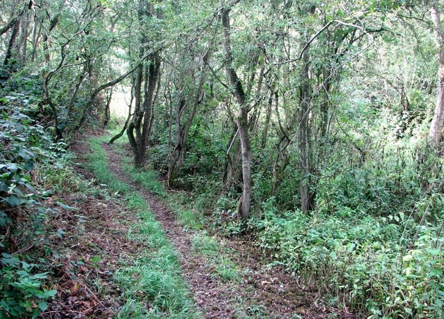 Path skirting a swampy area of carr © Evelyn Simak :: Geograph Britain ...