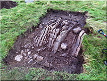 NY8993 : Excavating a 3rd stony mound, Fawdon Hill by Andrew Curtis