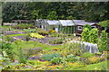 SD3483 : Vegetable garden at Low Wood by David Martin