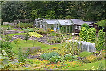 SD3483 : Vegetable garden at Low Wood by David Martin