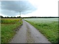 Meadows at Newchurch Common