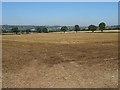 Stubble field at Bitterley