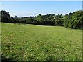 Field near Stoke Lodge Farm