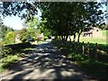 Road approaching Stoke St Milborough