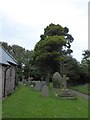 St. Mary, Herbrandston: churchyard (a)