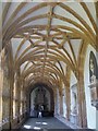 ST5545 : Wells Cathedral [3] by Michael Dibb