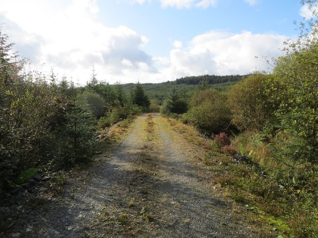 Forest track near Cnoc Reilereidhe