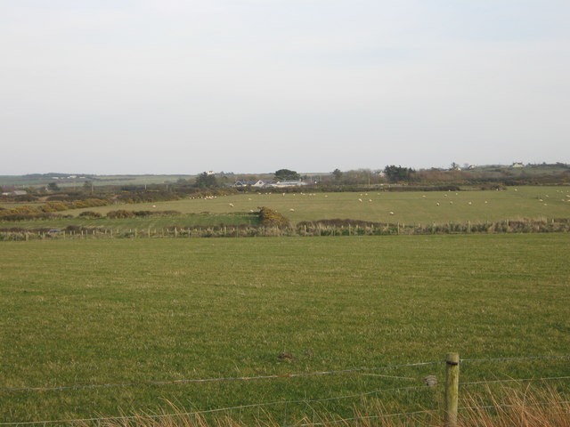 Fields near Porth Colmon farm