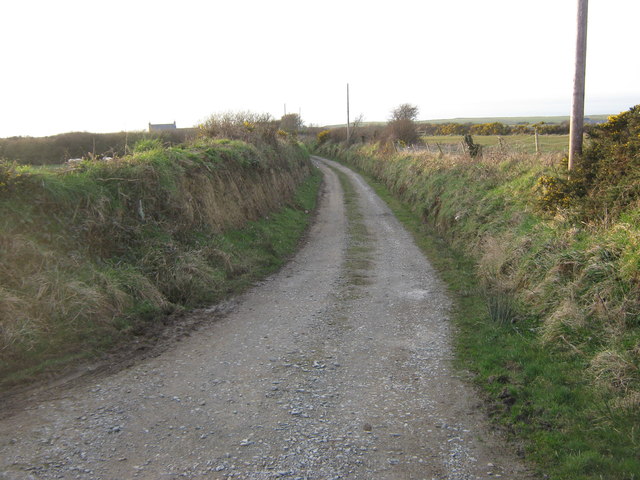 Footpath near Gyfelan Bach