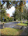 Radegund Road in early autumn