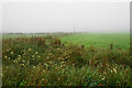 HY3922 : Mist-shrouded fields near Tingwall by Bill Boaden