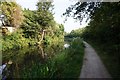 Coventry Canal towards bridge #6