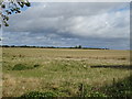 Fields near The Slade Farm