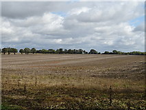 SP5934 : Stubble field off Mixbury Road, Evenley by JThomas