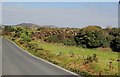 Sheep pastures and rock outcrops