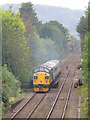 Class 37 in Roath