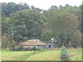 Old farm buildings viewed from Bryn Cwmrhiwdre