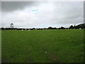 Fields beside the A4118