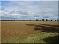 Field near Charlton House Farm