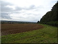 Field near Newbottle Farm