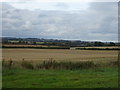 Fields near Astrop Hill Farm