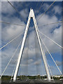 NZ3658 : The Northern Spire Bridge - the "A-frame" pylon by Mike Quinn
