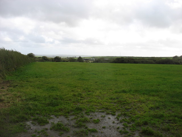 Damp field near Glandy Cross