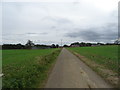 Road to Warkworth Hall Farm