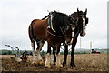 TQ0845 : Surrey County Ploughing Match 2019 by Peter Trimming