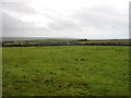 Farmland north of Tremarchog