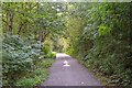 Newcastle-Under-Lyme : Footpath