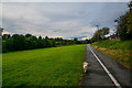 Newcastle-Under-Lyme : Footpath