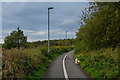 Newcastle-Under-Lyme : Footpath