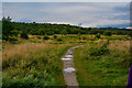 Newcastle-Under-Lyme : Footpath