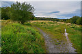 Newcastle-Under-Lyme : Footpath