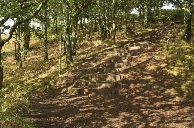 Steps, Hunter's Path