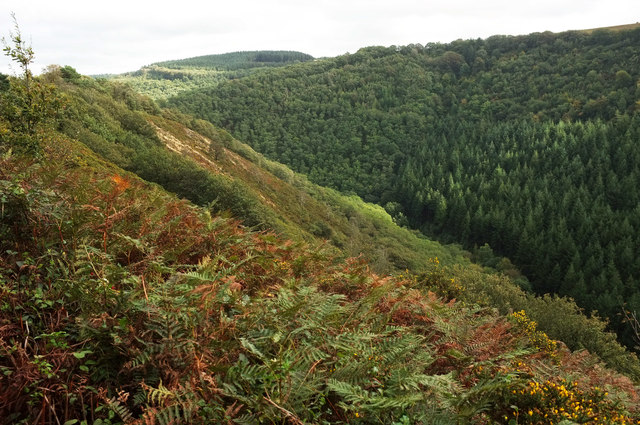 Teign valley from Hunter's Path