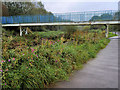 Footbridge over Annick Water