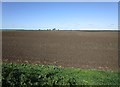 Metheringham Fen at Sots Hole