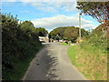 Tuag at Eglwys Llangynnwr  / Approaching Llangunnor Church