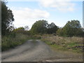 Rough scrubland at Wellwood