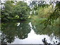 Pond formed by the infant River Darent near Westerham