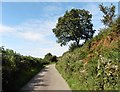 Minor road to Leary Cross