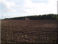 Farming in action at Easterton