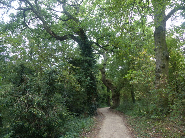 The Woodland Trail near Blisworth Tunnel