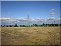 Stubble field on the edge of Ruskington