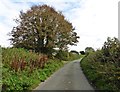 Approaching Home Barton