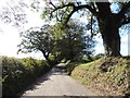 Lane to East Heddon