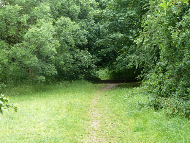 Path, Roundshaw Downs
